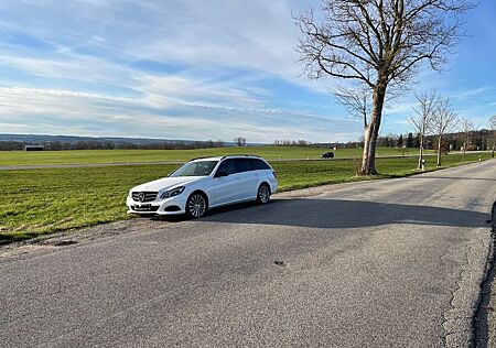 Mercedes-Benz E 220 BlueTEC 4MATIC T AVANTGARDE Autom. AVA...