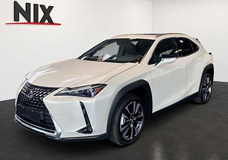 Lexus UX 250h Executive Line SCHIEBEDACH PREMIUM PAKET