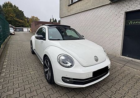 VW Beetle Volkswagen Lim. Sport TÜV NEU*PANO*S.HEFT VOLL