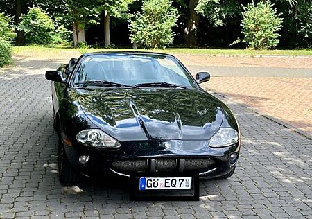 Jaguar XK8 Cabrio | Sammlerzustand | 8.000€ inve
