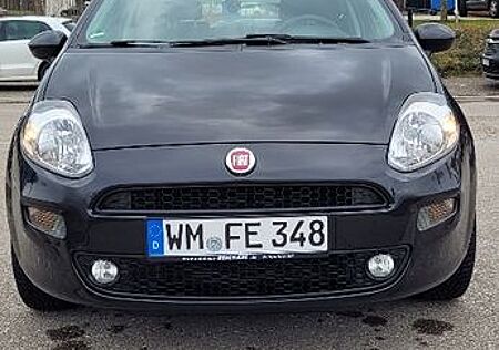 Fiat Punto 1.2 8V - Unfallfrei von privat abzugeben