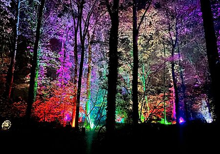 Citroën Berlingo Kombi Selection