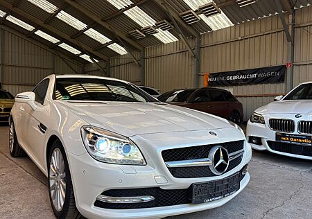 Mercedes-Benz SLK 250 SLK Roadster CDI BlueEfficiency