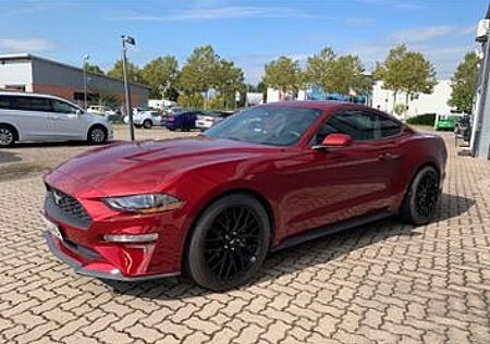 Ford Mustang 2.3 EcoBoost Auto -Unfallfrei,19 Zoll,