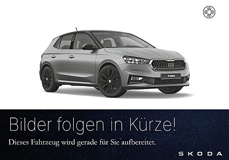 Skoda Fabia Selection 1.0 TSI *WINTER*INFOTAINMENT*