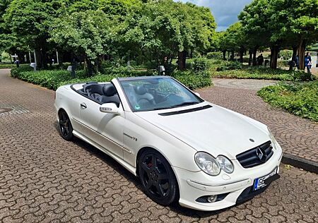 Mercedes-Benz CLK 350 Avantgarde, PAKET, HU NEU, Leder, Xenon
