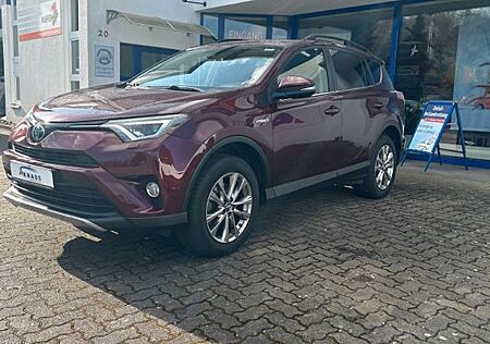 Toyota RAV 4 RAV4 Hybrid Edition-S