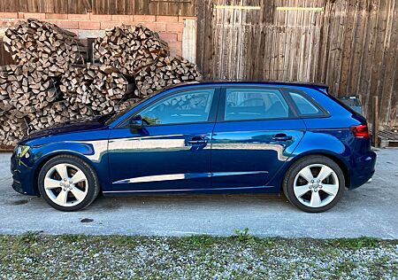 Audi A3 2.0 TDI S tronic quat. Ambition Sportb. A...