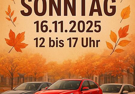 Audi A1 Sportback 30 TFSI S-TRONIC/RFK/VIRTUELL/