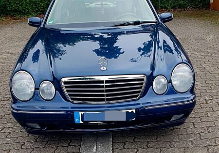 Mercedes-Benz E 240 ELEGANCE Elegance