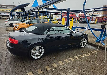 Audi A5 3,0 Cabriolet TDI Quattro s-tronic
