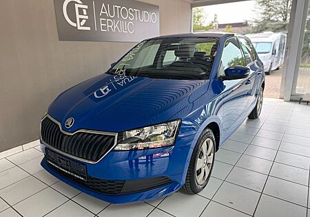 Skoda Fabia *Cool Plus*Klima*Sommer&Winterreifen*TOP*