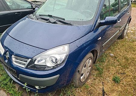 Renault Scenic Dynamique 1.6 16V 110 Dynamique