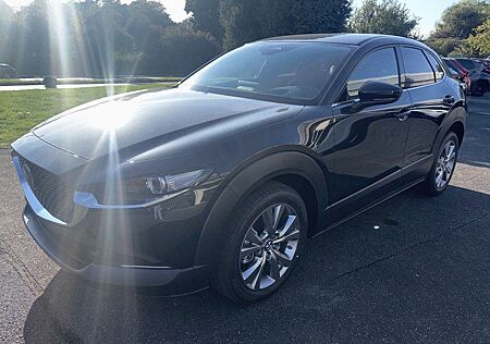 Mazda CX-30 Exclusive-Line 2.5L e-SKYACTIV-G 140PS *Au