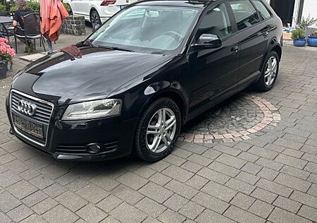 Audi A3 8P 1.9 TDI