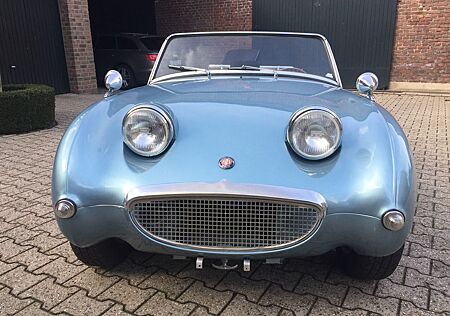Austin Healey Andere
