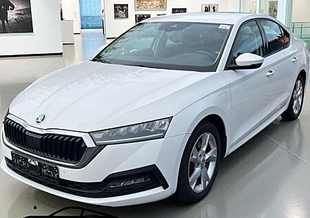 Skoda Octavia gebraucht kaufen Skoda Octavia Lim. Ambition iV