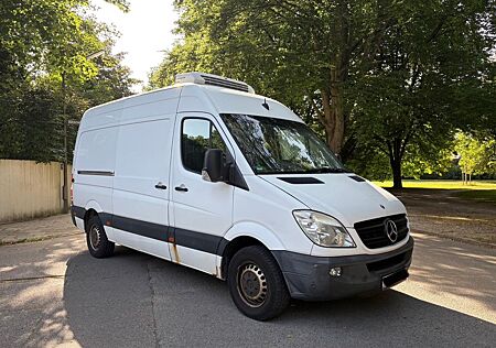 Mercedes-Benz Sprinter 316 CDI THERMO KING Tiefkühlung -24