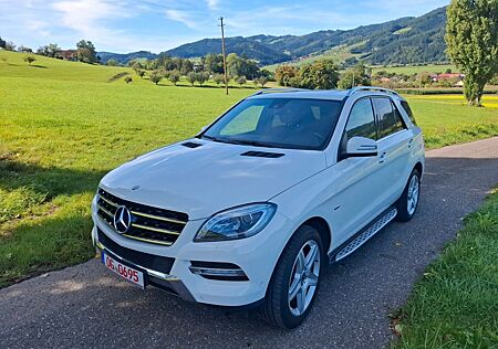 Mercedes-Benz ML 350 CDI AMG 1.Hand Vollaustattung AHK!!!