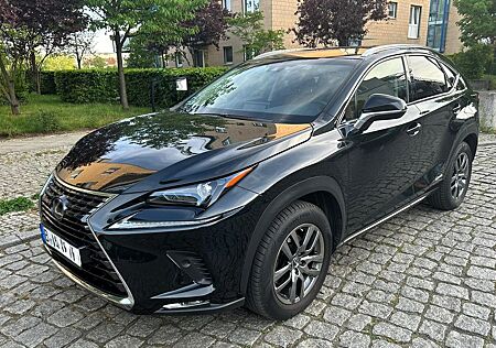 Lexus NX 300h Launch Edition scheckheftgepflegt