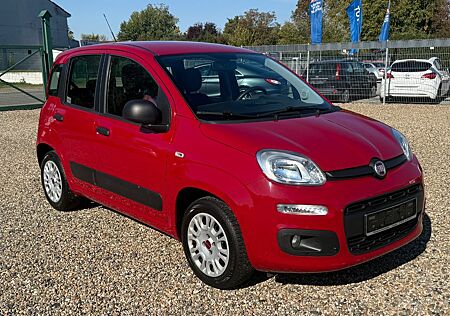 Fiat New Panda mit Klima und 1 Jahr Garantie