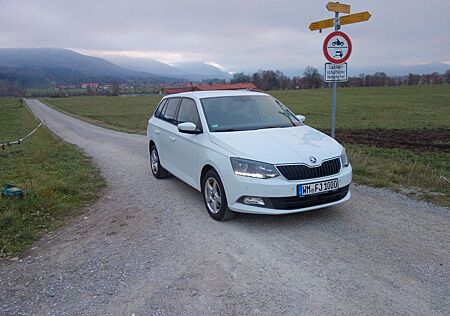 Skoda Fabia 110PS Combi Joy | SHz AHK PDC Klima Alcant
