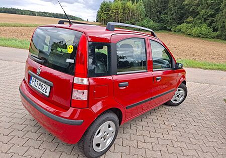 Fiat Panda rot