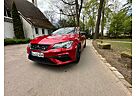 Seat Leon ST 2.0 TSI 190PS DSG-Vir.CP-Pano-und mehr