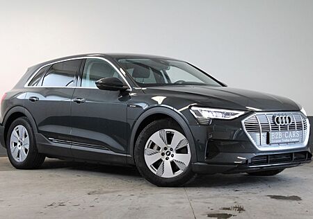 Audi e-tron 55 Quattro - Luft - LED - Standheizung