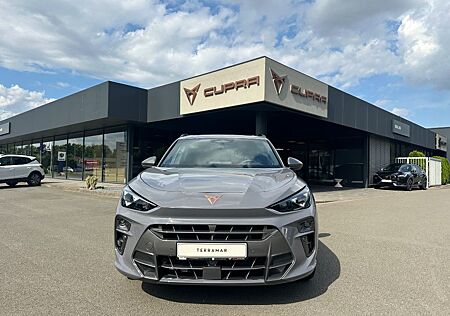 Cupra Terramar 2.0 TSI 4Drive DSG VZ