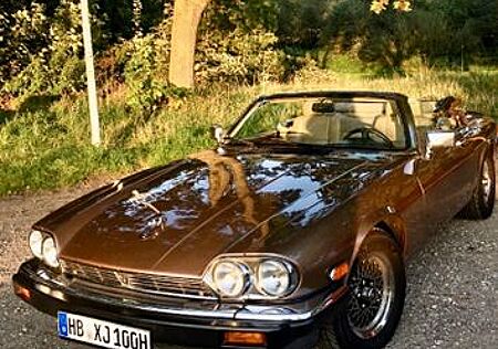 Jaguar XJS Convertible V 12 Oldtimer