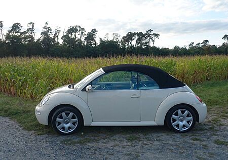 VW Beetle Volkswagen