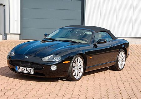 Jaguar XK8 Cabriolet - kein Rost und super Verdeck