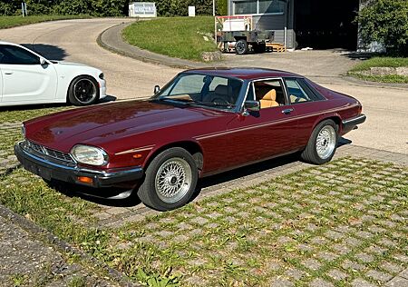 Jaguar XJS rostfrei orig. Zustand