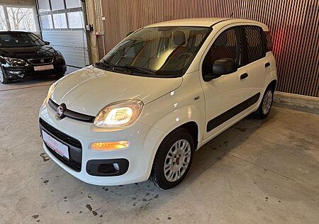 Fiat Panda Easy*1 Hand*Klima*Pdc*Zv*8 Fach*