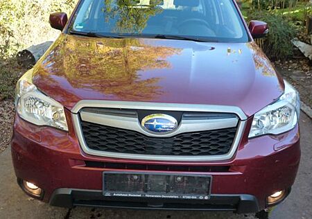 Subaru Forester 2.0D Active Lineartronic , Standheizung