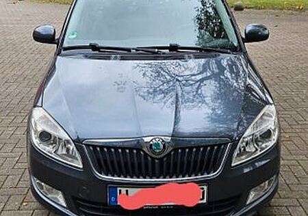 Skoda Fabia gebraucht kaufen Skoda Fabia 1.6l TDI 66kW Ambiente Ambiente