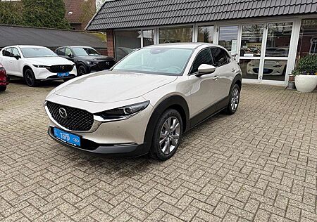 Mazda CX-30 Skyactiv 2.5 l G 140 PS 6MT FWD Exclusive-