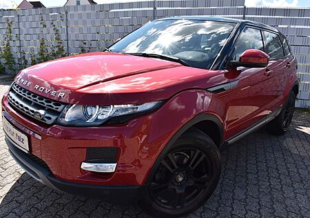 Land Rover Range Rover Evoque Pure CAMERA LEDER AHK