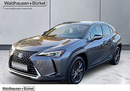 Lexus UX 250h Amazing Edition Klima Rückfahrkamera