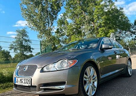 Jaguar XF 4.2 L Super V8 Super V8