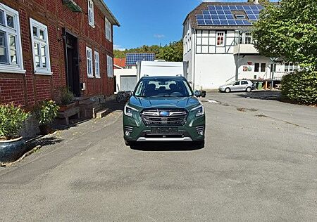 Subaru Forester gebraucht kaufen Subaru Forester Platinum AHK