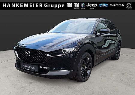 Mazda CX-30 Nagisa 2WD 2.5L e-SKYACTIV G 140 LED-Navig