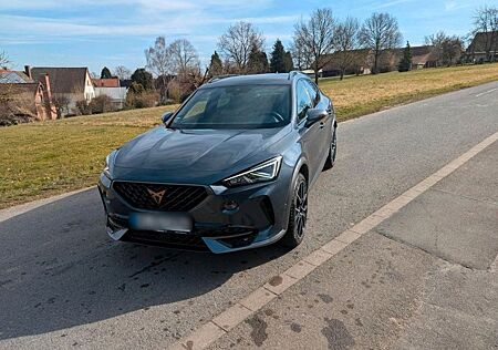 Cupra Formentor VZ 2.0 TSI 228kW, Beats, AHK