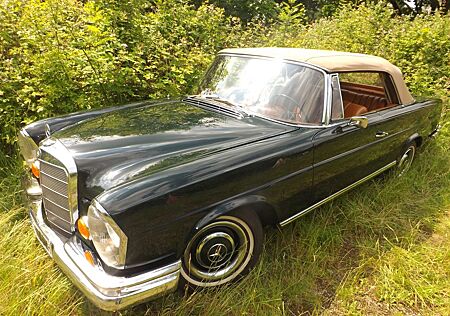 Mercedes-Benz 250 SE Cabrio und? - Familienzuwachs gefällig?