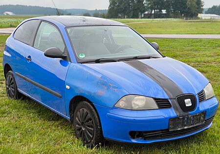 Seat Ibiza 1.2 12V (TÜV, Klima, EFH)