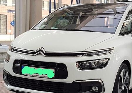 Citroën C4 Picasso BlueHDi 150 behindertengerecht