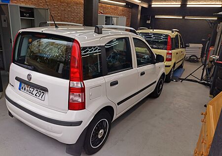 Fiat Panda Top zustand Wenig Kilometer