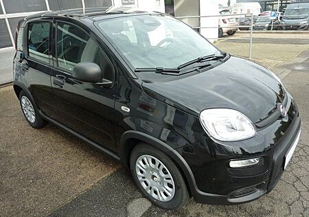 Fiat Panda Pandina HYBRID 1,0 51 kW ( 70 PS ) Sitzhe