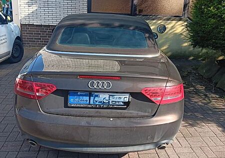 Audi A5 3.0 TDI (DPF) S tronic quattro Cabriolet -